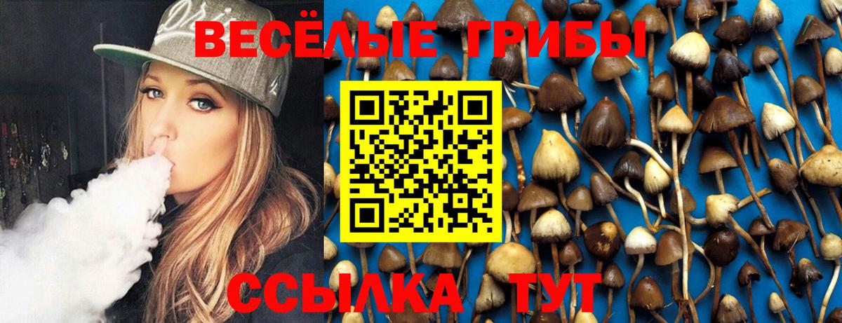 Псилоцибиновые грибы MAGIC MUSHROOMS  закладка  Свободный  Вход с VPN 